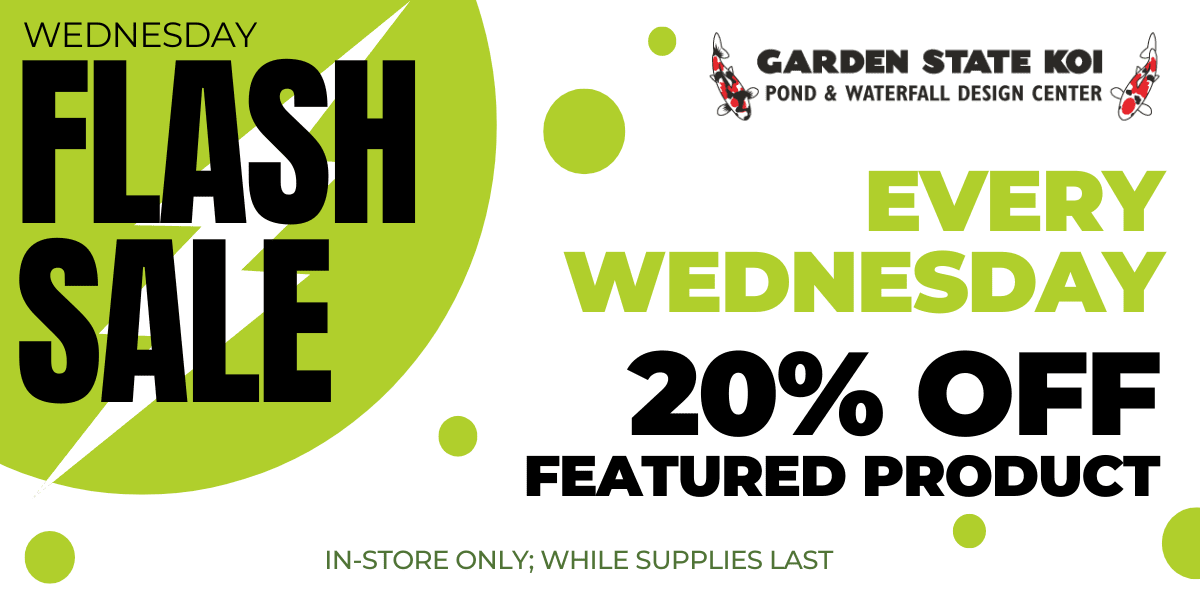 wedflash wedflash