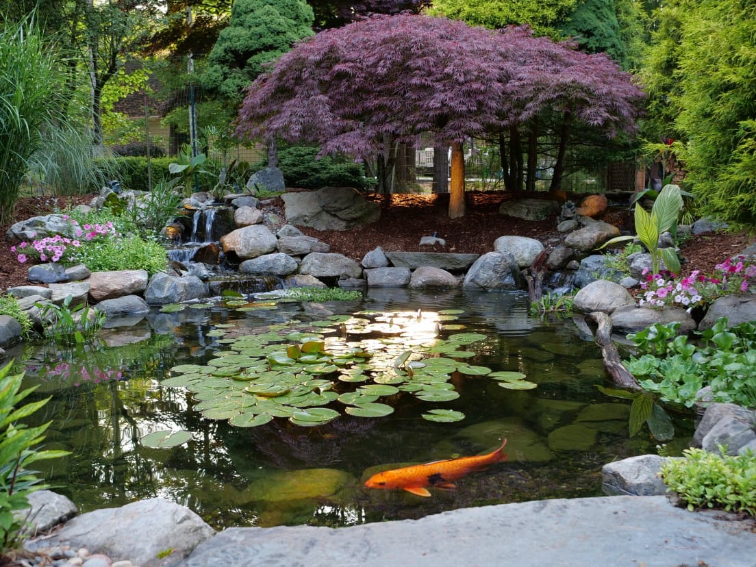 gary beilman pond (hawley, pa) compressed