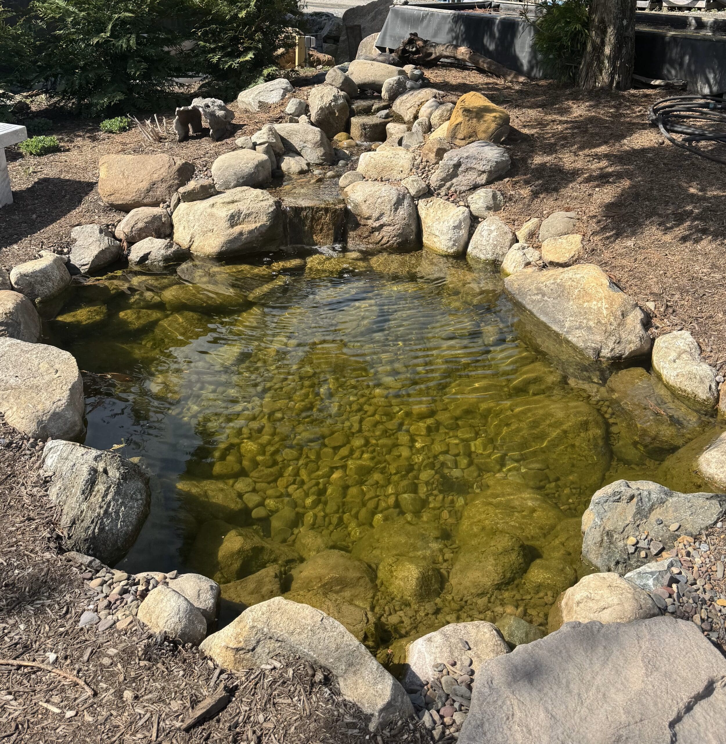 Tranquility Pond 2