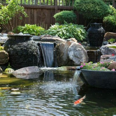 Ecosystem Pond_14 Ecosystem Pond_14