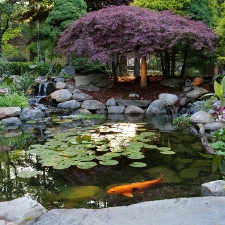 gary beilman pond (hawley, pa) compressed gary beilman pond (hawley, pa) compressed
