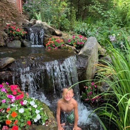 Swim Pond In New York