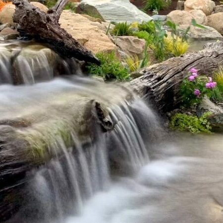 KoiFishPond-Waterfall-Driftwood KoiFishPond-Waterfall-Driftwood