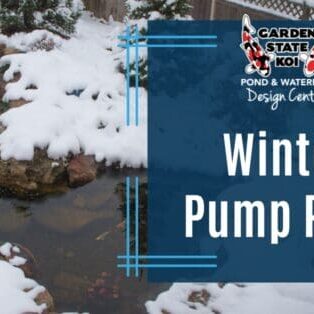 Winter Pump Prep Winter Pump Prep