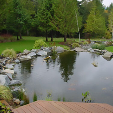 natural pond with epdm liner3 natural pond with epdm liner3