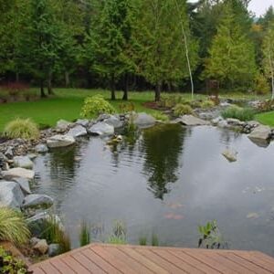 natural pond with epdm liner3 natural pond with epdm liner3