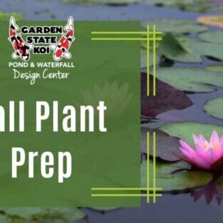 Fall Plant Prep Fall Plant Prep