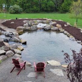 pond with wetland pond with wetland