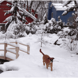 Winter-7 Winter-7